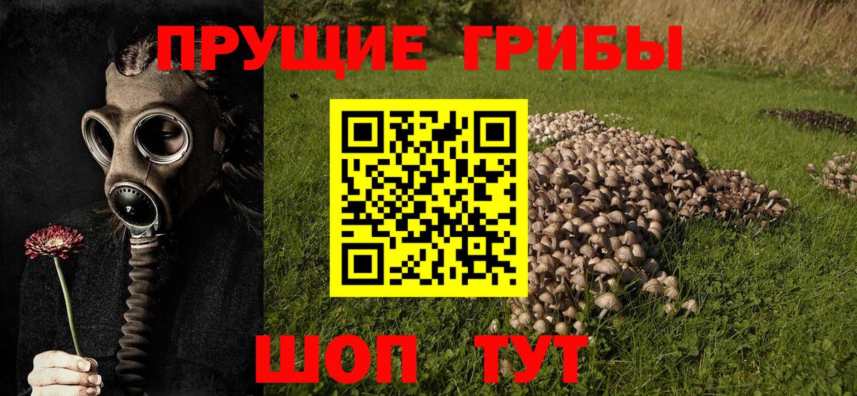 Красноармейск  Псилоцибиновые грибы Cubensis  купить наркоту  Вход с VPN 